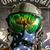 Drew Grotbo's profile image