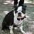 Ed Gabrielson's profile image