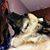 Jennifer Halverson's profile image