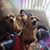 Sandee Bushyeager's profile image