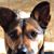 Jane Praessel Hoffarth's profile image