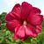 Kay Weimer's profile image