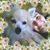 Angela Christian's profile image