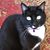 Penny Stevenson's profile image