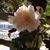 Ruth King's profile image