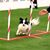 Bernadette Postle's profile image