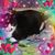 Vonnie Gniazdoski's profile image