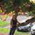 Darcy Jo Garrison's profile image