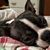 Amy Conn McDaniel's profile image