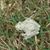 Judy Chavis's profile image