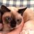 Jill Selkowitz's profile image