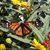 Carmen Lusignan's profile image