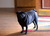 Carol L.'s profile image