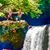 Tammy J Paschall's profile image