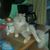 Wendy Jo WJ Regan's profile image