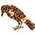 Casey Tyer's profile image