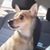 Teresa Brooks Lynch's profile image