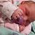 Dawné Shields McCarty's profile image