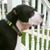 Sandy Powers's profile image