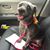 Kathleen Mangers's profile image