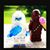 Lisa Tavares's profile image