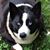 Mary Sheffey's profile image