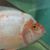 Jeremy Anderson's profile image