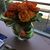 Beverley Ann Taylor's profile image