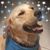 Bruce Erickson's profile image