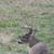 Latisha Galloway's profile image