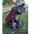 Twylla Fettis's profile image