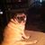 Suzanne Abbe's profile image