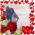 Summer Heather Niemeier's profile image