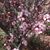 Shelley Saffold's profile image