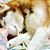 Jennifer Lynn Gentzler's profile image