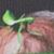 Merrill Asher's profile image