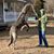 Karen Eberl's profile image