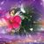 Linda J Leonardo's profile image