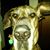 Samson Dane's profile image