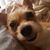 Elizabeth Deas's profile image