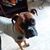 Kelly Lambley's profile image