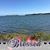Cyndy Connorton Gallagher Howard's profile image