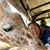 Ginny Greer Fulford's profile image