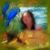 Kimberly Strickland's profile image