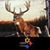 Steve Motosicke's profile image
