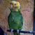 Norma Vela's profile image