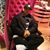 Marcial Jr Santana Diaz's profile image