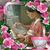 Desha Picorelli's profile image