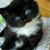 Rosie Garcia's profile image