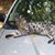 Penny Custar-Rumsey's profile image